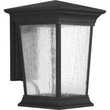 Progress P6069-3130K9 - Arrive Collection One-Light Large Wall Lantern