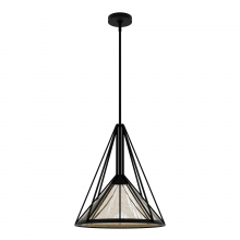 Hunter 19453 - Hunter Rafner Natural Black Iron with Mercury Glass Glass 1 Light Pendant Ceiling Light Fixture