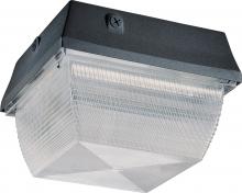 Nuvo 65/013R - Metal Halide Ceiling/Wallpack - (1) MH175W/E26