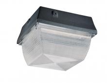 Nuvo 65/030R - High Pressure Sodium Ceiling / Wallpack - (1) HPS100W/E26